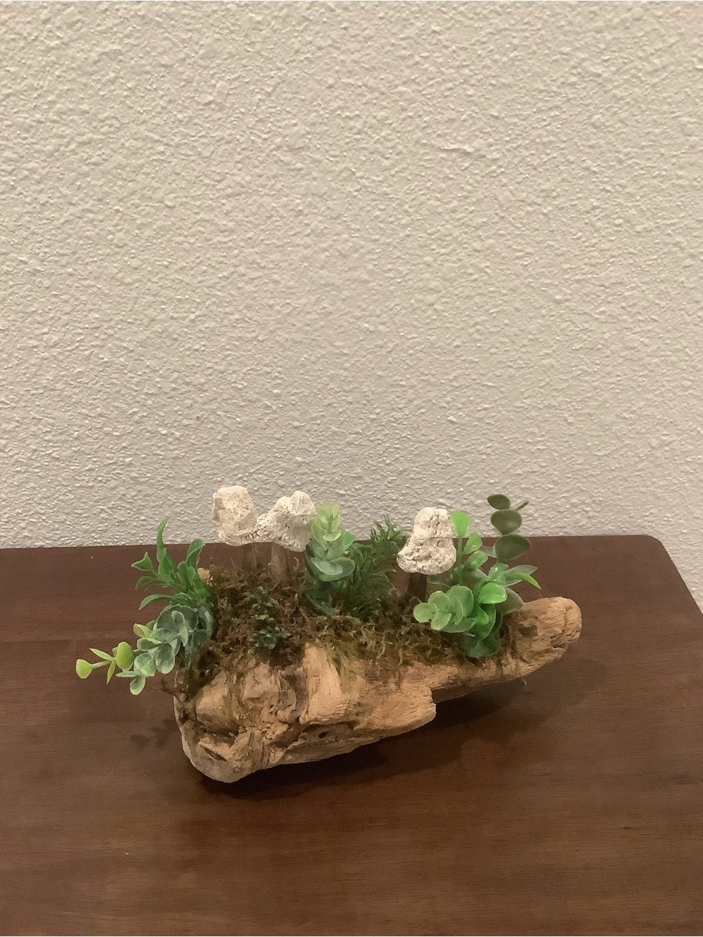 Driftwood Art, Driftwood, Succulents & Seashell Mushrooms, Mushroom Art